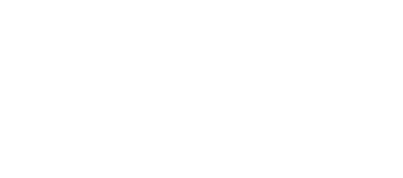 DLP Media Group